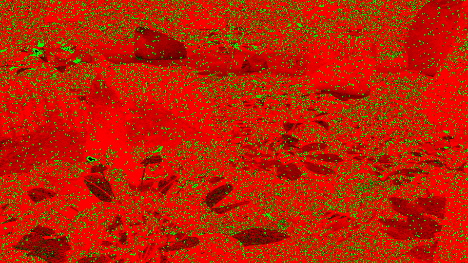 Path tracing