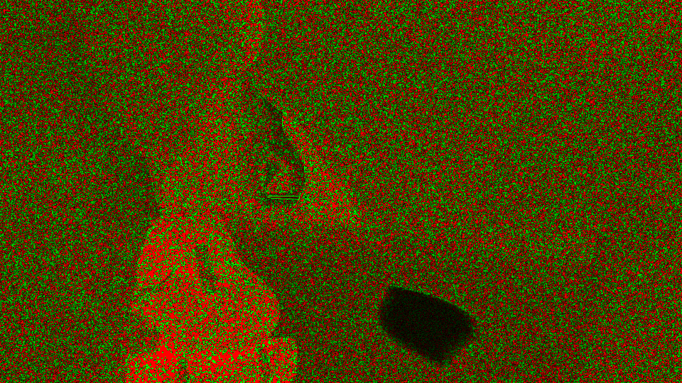 Path tracing