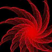 Spirals