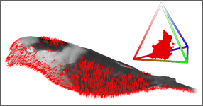 Birds Visualization Screenshot